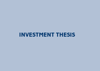 Thesis investment